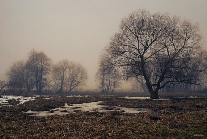 Belarus in the fog (photos)