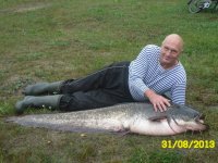 A catfish with the size of a human was caught near Gomel