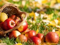 Apple Festival in Sharkaushchyna district was recognized the best event in event tourism